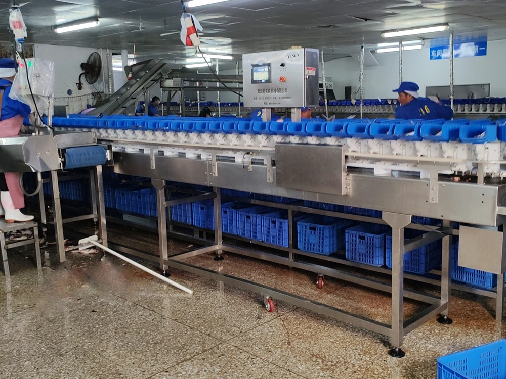 Fish Tray Weight Sorting Machine
