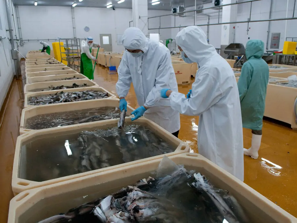 Shellfish Brush Oyster Industry