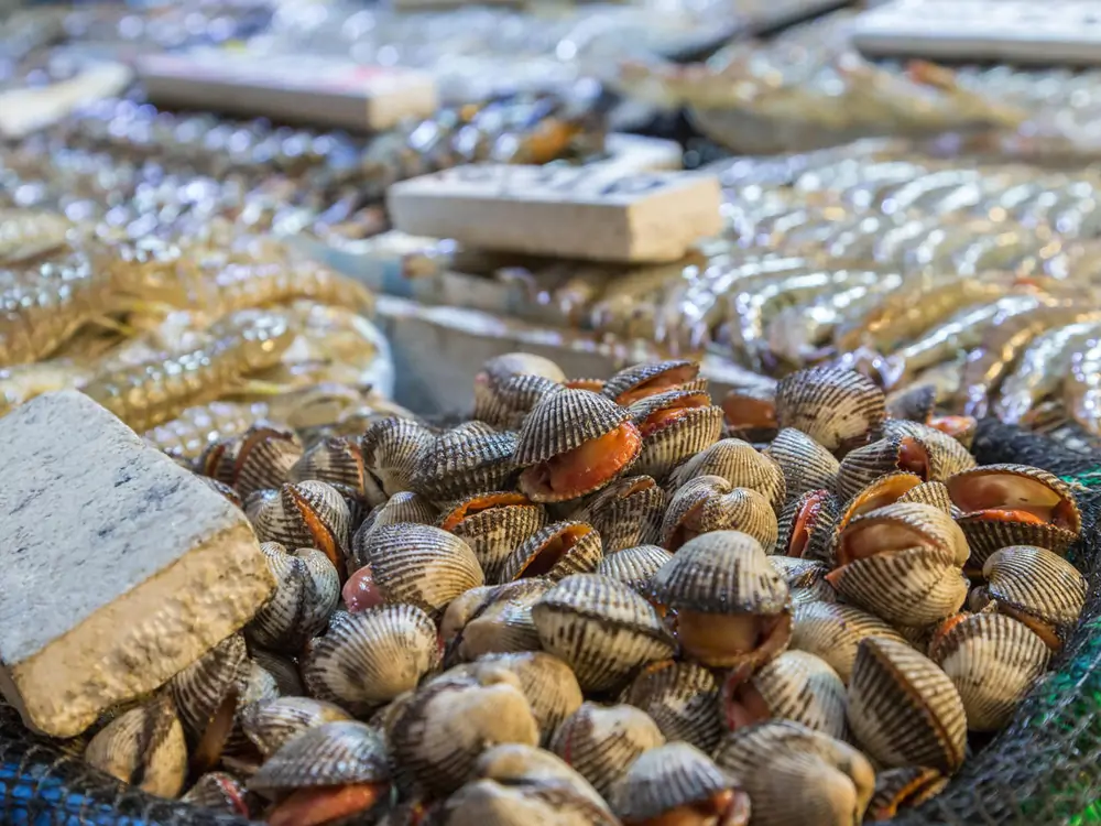 Shellfish Brush Oyster Industry