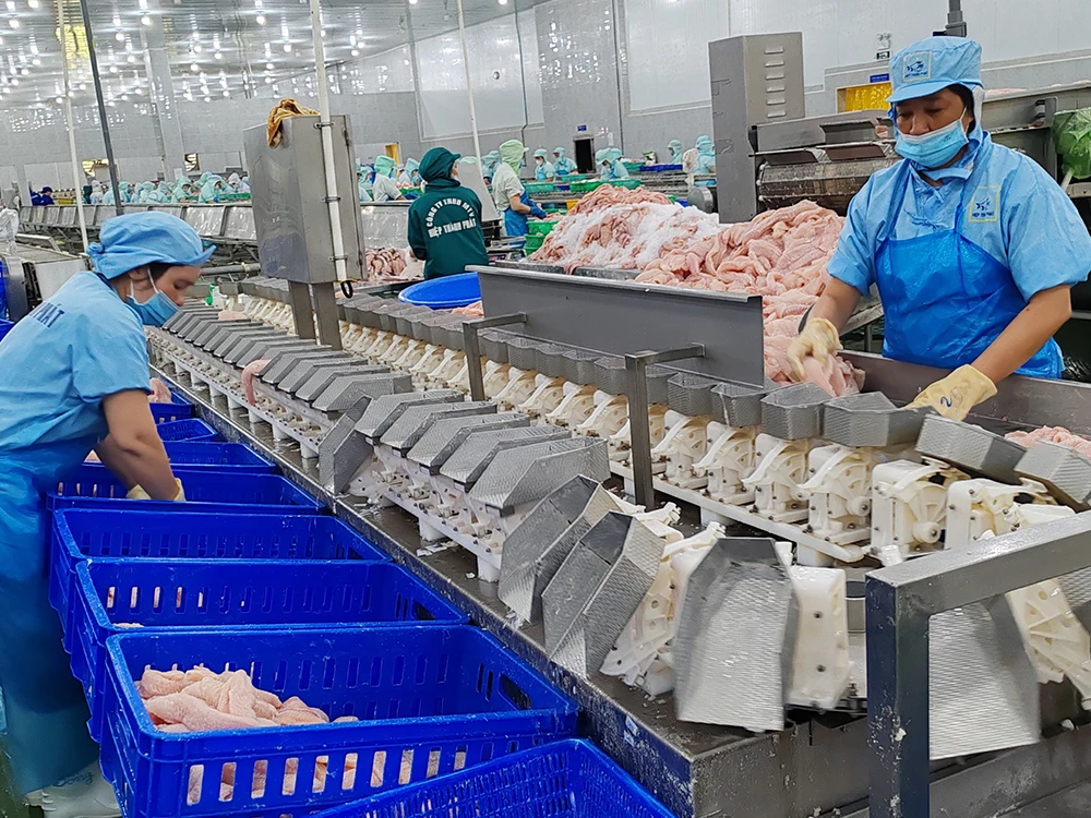 Fish Fillet Processing Stainless Steel Tray weight sorter